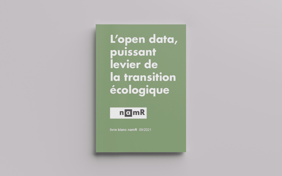 [Livre blanc] L’open data, puissant levier de la transition écologique
