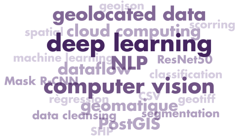 geojson ; geolocated data ; spatial ; cloud computing ; scoring ; deep learning ; machine learning ; natural language processing ; ResNet50 ; dataflow ; NLP ; classification ; Mask-R-CNN ; computer vision ; regression ; CSV ; geotiff ; géomatique ; data cleansing ; segmentation ; PostGIS ; SHP word cloud
