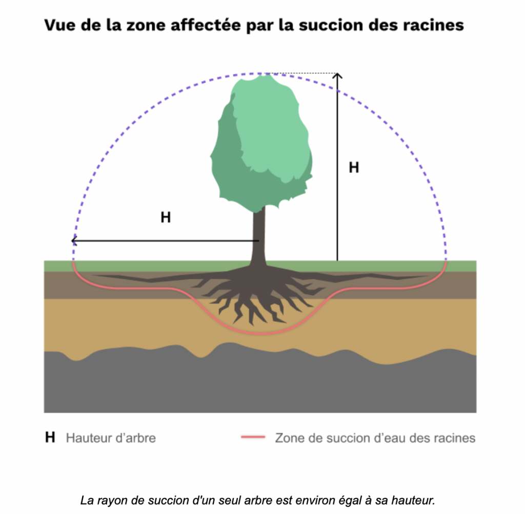 Retrait-Gonflement des Argiles (RGA)