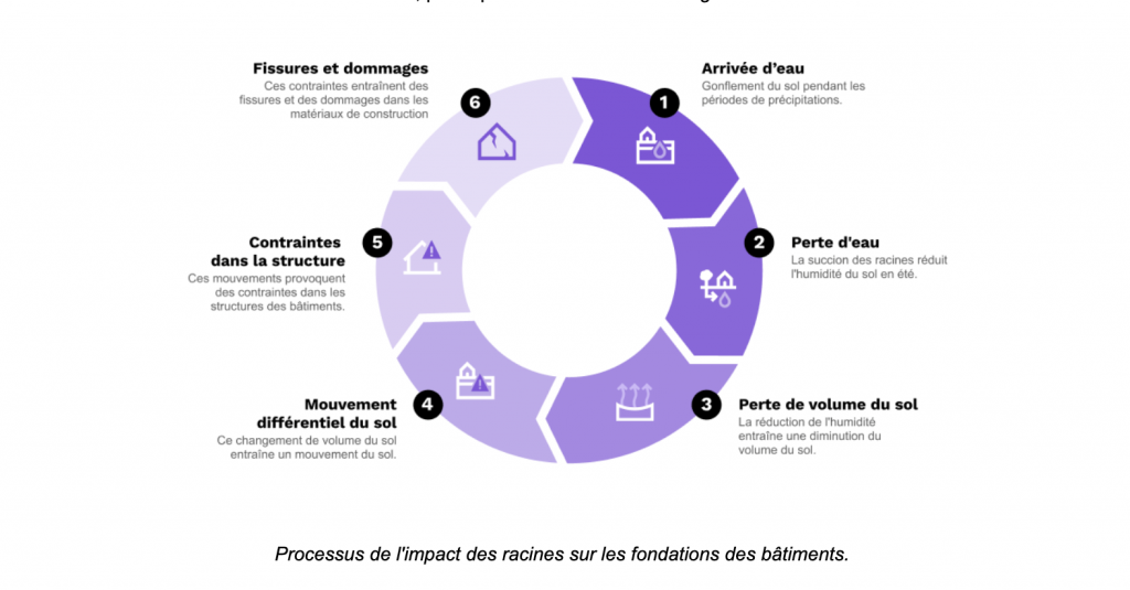 Retrait-Gonflement des Argiles (RGA)